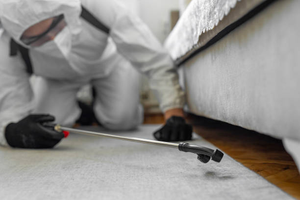 Professional Bed Bug Control technician working in Kiryas Joel, NY