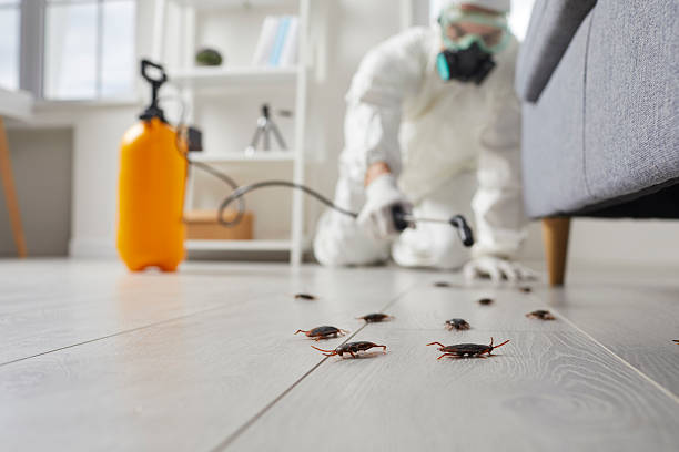 Trusted Fumigation Services service in Kiryas Joel, NY - Nex Pest Control