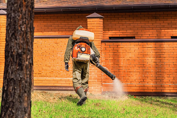 Trusted Cockroach Control service in Kiryas Joel, NY - Nex Pest Control